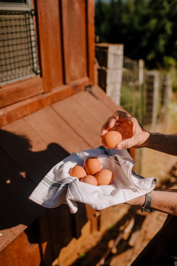 Sakura Ridge The Farm & Lodge Hood River Eksteriør billede